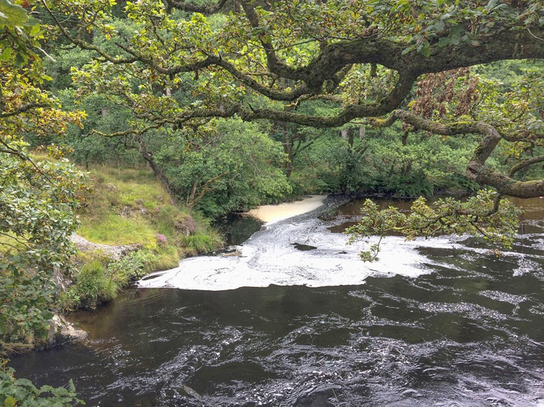 The Washpool in the River Irfon