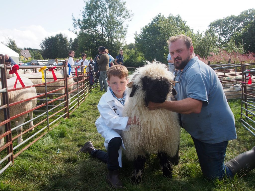 Llanwrtyd Wells Show. Local farmer displaying long-haired sheep.