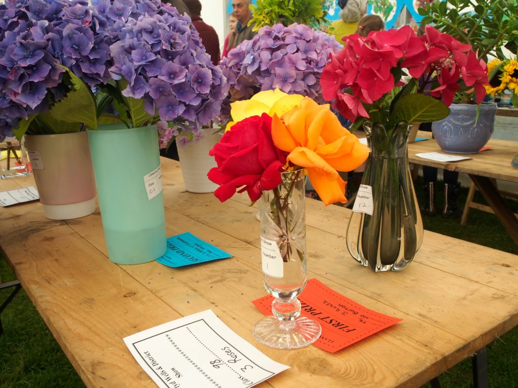 Three roses a category in the Floral section at the Llanwrtyd Show.