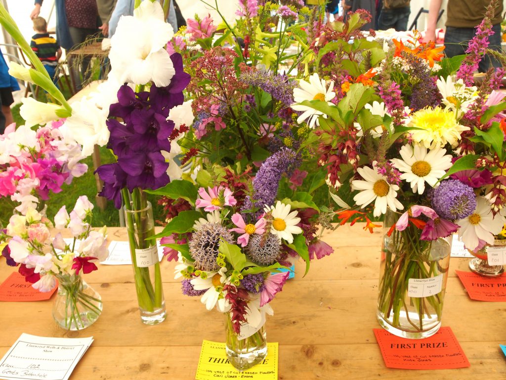 There is a floral section at Llanwrtyd Wells show for cut garden flowers.