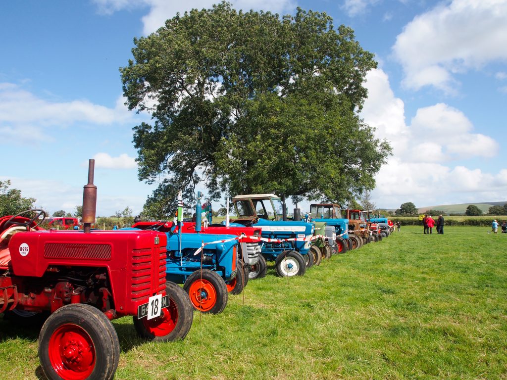 Vintage tractors are displayed at the Llanwrtyd Wells show.