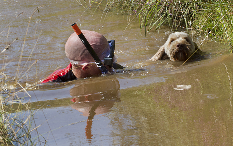 Competitors have to complete a 60 yard bog snorkel at the end of the Bog Triathlon