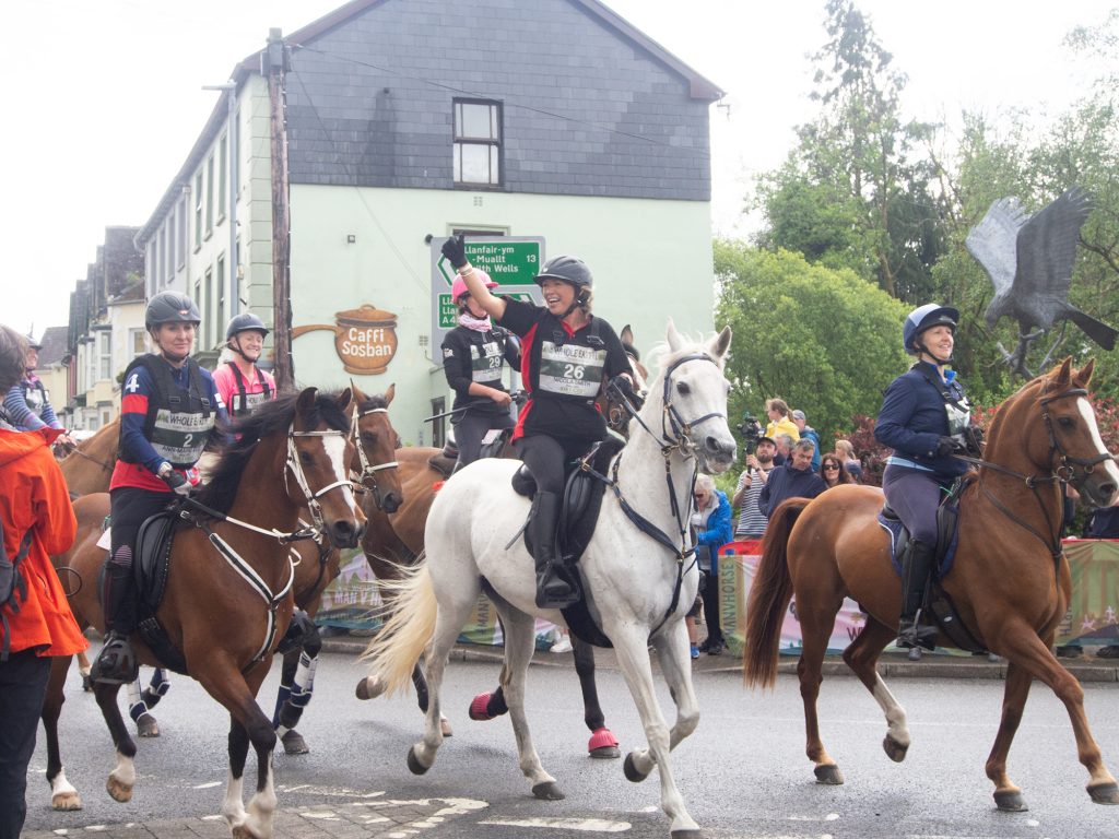 Horses in Llanwrtyd at the start of the Man V Horse race