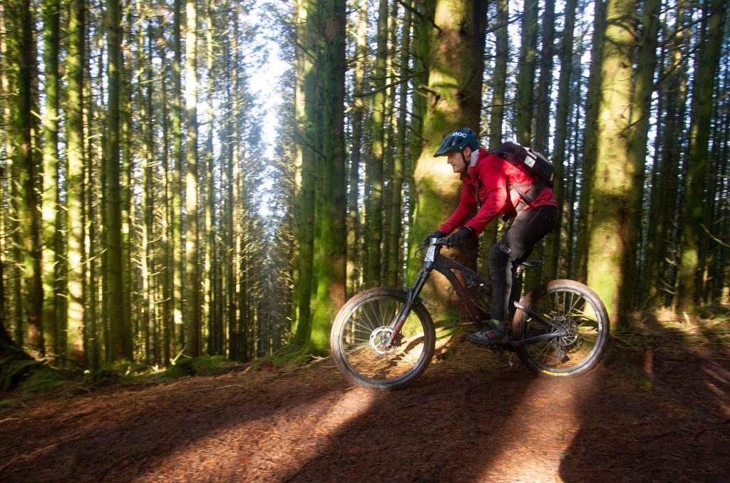 Mountain biker in a wood near Llanwrtyd Wells